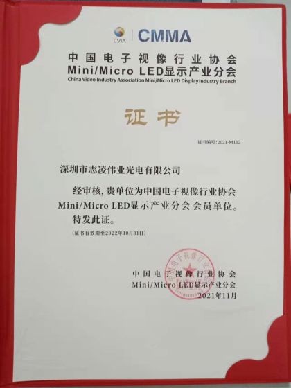 Китайская ассоциация электронной видеоиндустрии MiniMicro LED Display Industry Branch
