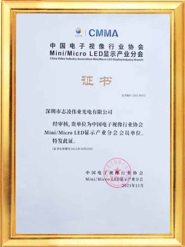 Китайская ассоциация электронной видеоиндустрии MiniMicro LED Display Industry Branch